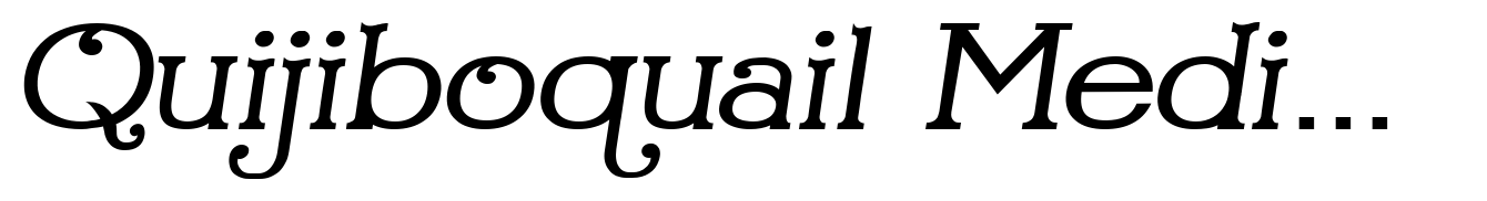 Quijiboquail Medium Italic